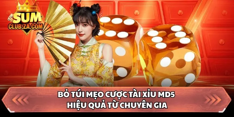 Bỏ túi mẹo cược tài xỉu MD5 hiệu quả từ chuyên gia 