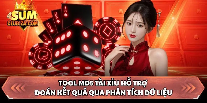 Tool MD5 tài xỉu hỗ trợ đoán kết quả qua phân tích dữ liệu